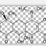 Tetracycline