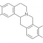 Tetrahydropalmatine