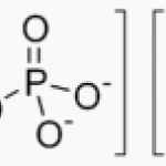 Tetrasodium Pyrophosphate