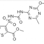 Thifensulfuron methyl