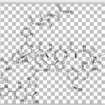 Thiostrepton