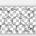 Tigecycline