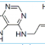 Trans-Zeatin