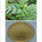 Tribulus terrestris Extract