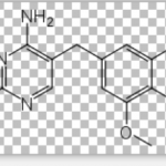 Trimethoprim