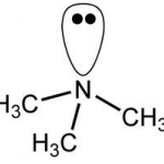 Trimethylamine