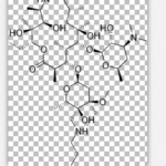 Tulathromycin