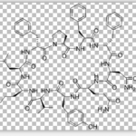 Tyrocidin B