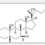 Usnic Acid