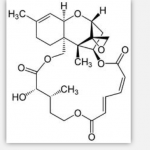 Verrucarin A