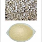 White Kidney Bean Extract