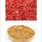 Wolfberry Extract