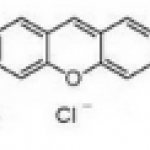 Xanthylium