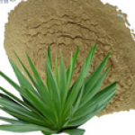 Yucca aloifolia extract