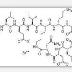 Zinc bacitracin