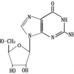 2-Amino-9-beta-D-ribofuranosyl-9H-purine-6-(1H)-one hydrate