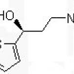 (S)-(-)-N,N-Dimethyl-3-hydroxy-3-(2-thienyl)propanamine