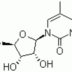 5-Methyluridin, Ribothymidine