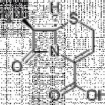 7-Amino-3-cephem-4-carboxylic acid