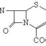 7-Amino-3-nor-3-cephem-4-carboxylic acid