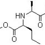 N-[(S)-1-Carbethoxy-1-butyl]-(S)-alanine