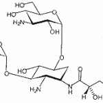 Amikacin sulfate