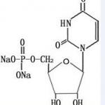 Disodium uridine-5'-monophosphate