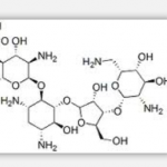 Framycetin Sulphate