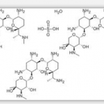 Gentamicin Sulphate