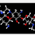 Gentamicin