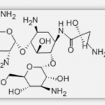 HABA-Deoxykanamycin B