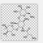 Isepamicin