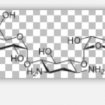 Kanamycin