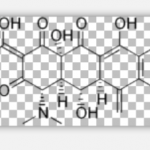 Metacycline