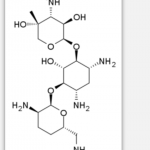 Micronomicin