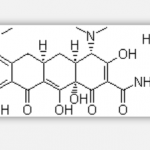 Mirincamycin