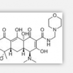 Morphocycline