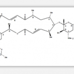 Mycinamycin II