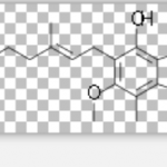 Mycophenolic Acid