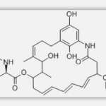 Mycotrienin