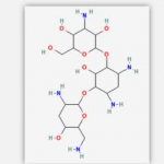 Nebramcyin