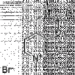 Pyridostigmine Bromide