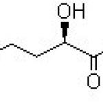 R-2-Hydroxy-4-phenyl butyric acid ethyl ester