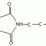 S-4-Phthalimido-2-hydroxy butyric acid(PHBA)