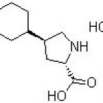 Trans-4-Cyclohexyl-L-proline hydrochloride