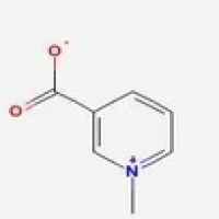 1-methylpyridinio-3-carboxylate