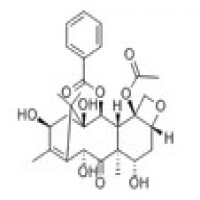 10-Deacetylbaccatin Ⅲ