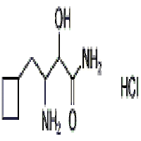 β-amino-α-hydroxycyclobutanebutanamide Hydrochloride