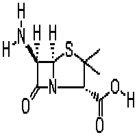 6-Aminopenicillin Acid