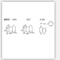 6-Benzylamino-purine + Gibberellin Acid (A4) + Gib